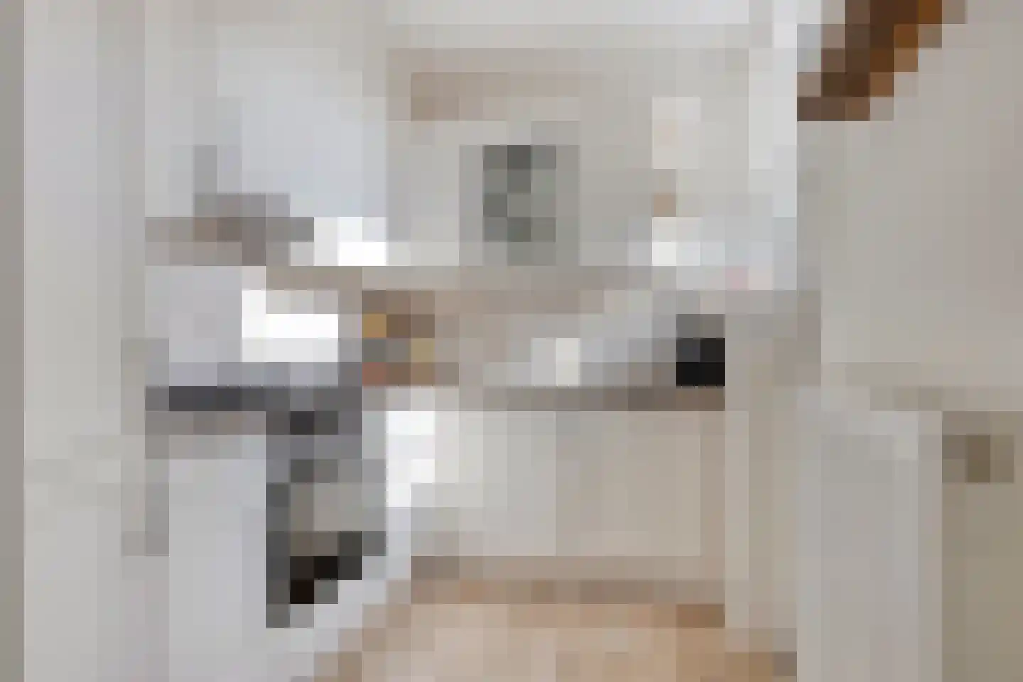 Juliana van Stolbergstraat 28 Zwijndrecht thumbnail 18