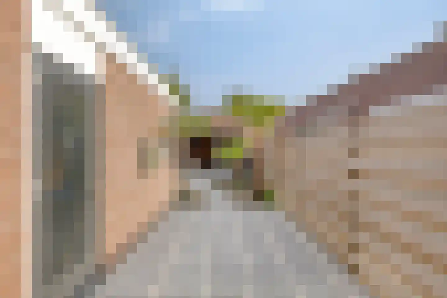 Juliana van Stolbergstraat 28 Zwijndrecht thumbnail 31