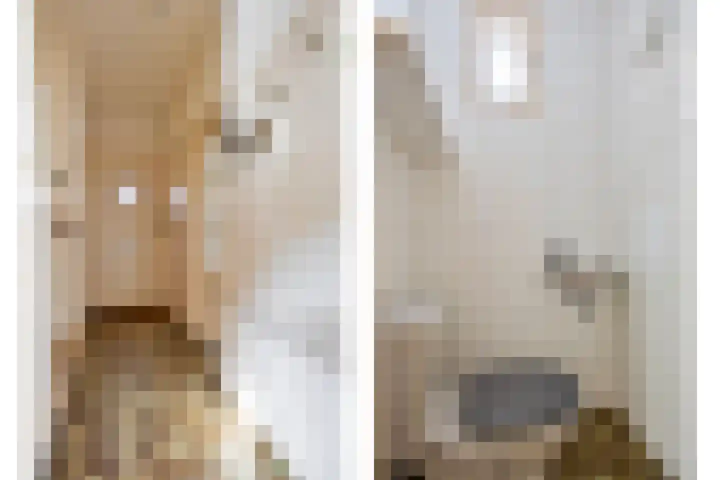 Juliana van Stolbergstraat 3 Kaatsheuvel thumbnail 5