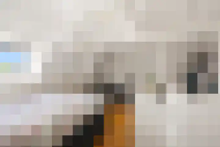 Juliana van Stolbergstraat 30 2 Amsterdam thumbnail 20