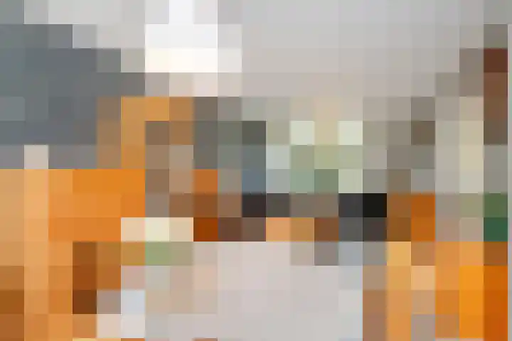 Juliana van Stolbergstraat 34 Hardinxveld-Giessendam thumbnail 13