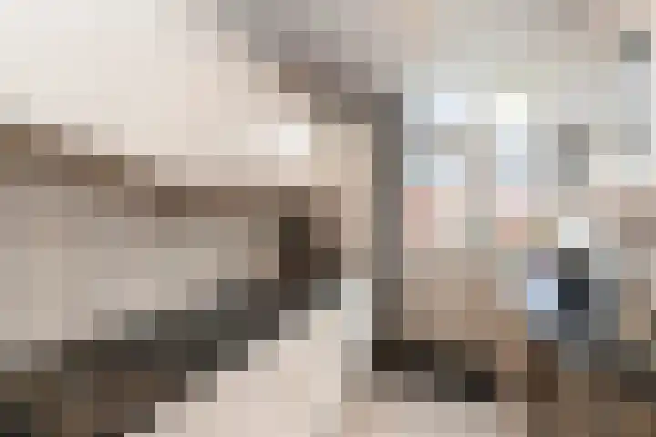 Juliana van Stolbergstraat 34 Hardinxveld-Giessendam thumbnail 14