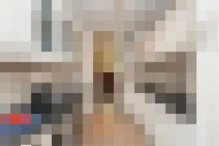 Juliana van Stolbergstraat 34 Hardinxveld-Giessendam thumbnail 15
