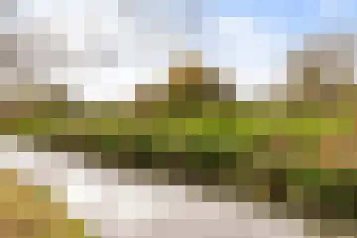 Juliana van Stolbergstraat 34 Hardinxveld-Giessendam thumbnail 37