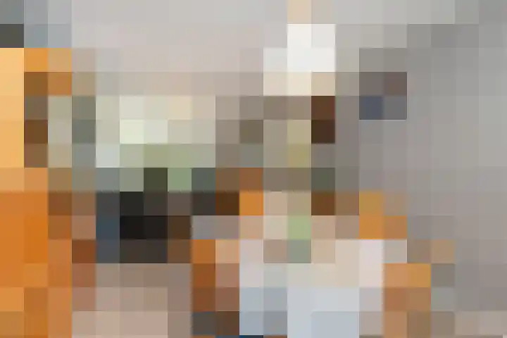 Juliana van Stolbergstraat 34 Hardinxveld-Giessendam thumbnail 5