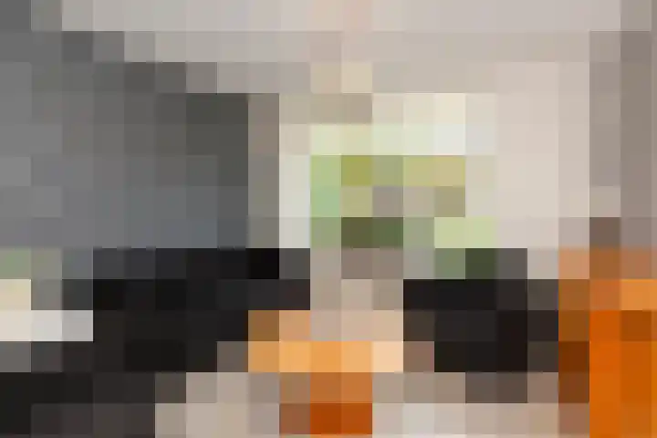Juliana van Stolbergstraat 34 Hardinxveld-Giessendam thumbnail 7