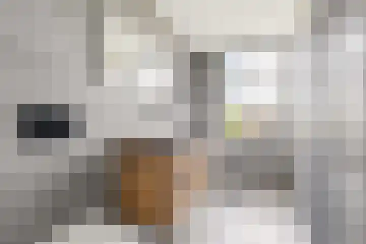 Juliana van Stolbergstraat 39 1 Amsterdam thumbnail 25