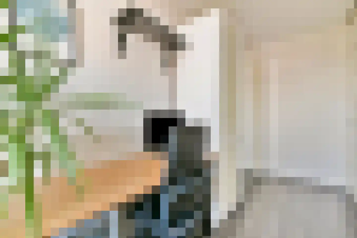 Juliana van Stolbergstraat 42 3 Amsterdam thumbnail 23