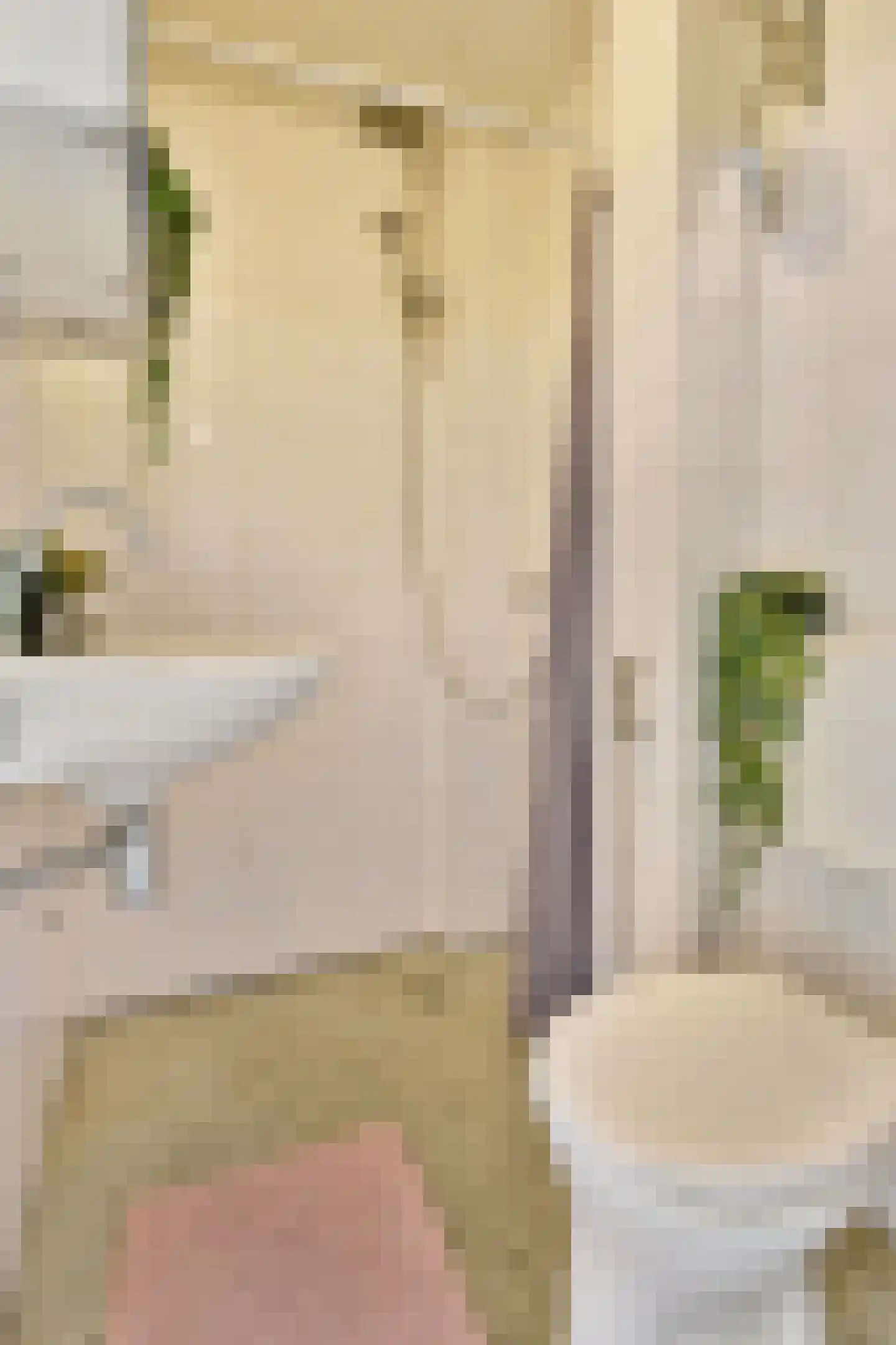 Juliana van Stolbergstraat 42 3 Amsterdam thumbnail 25