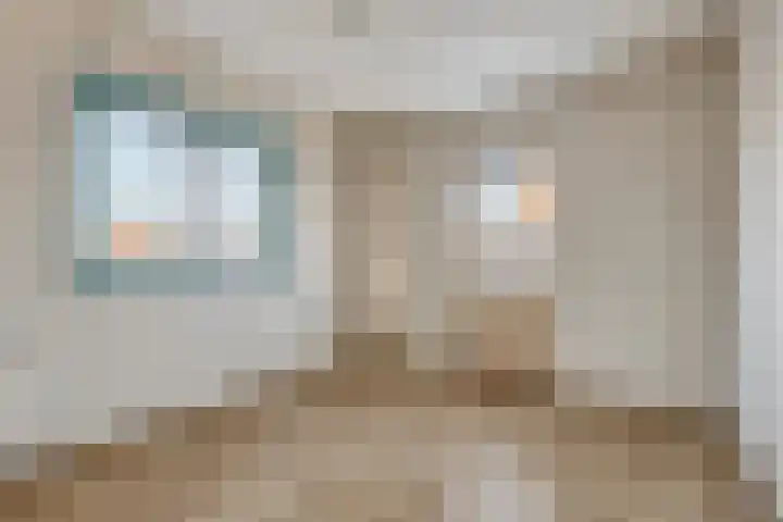 Juliana van Stolbergstraat 47 Terneuzen thumbnail 20