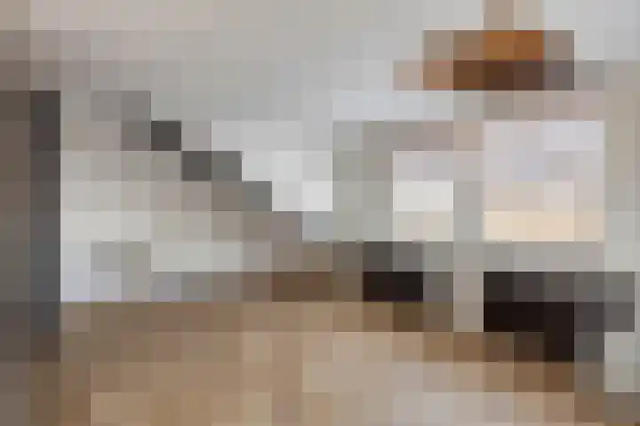Juliana van Stolbergstraat 47 Terneuzen thumbnail 28