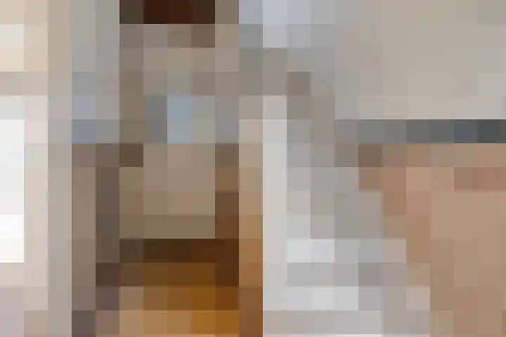 Juliana van Stolbergstraat 47 Terneuzen thumbnail 9