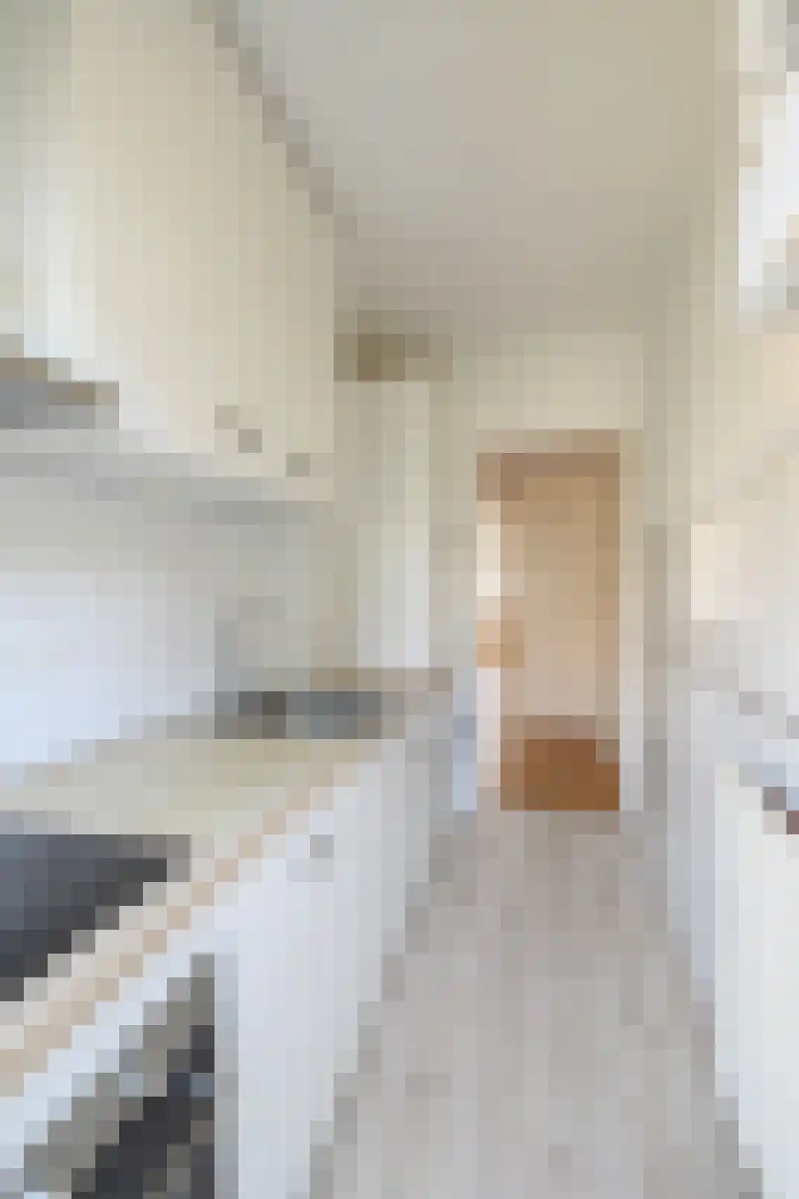 Juliana van Stolbergstraat 54 1 Amsterdam thumbnail 9