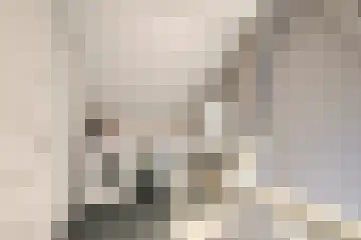 Juliana van Stolbergstraat 69 Veen thumbnail 23
