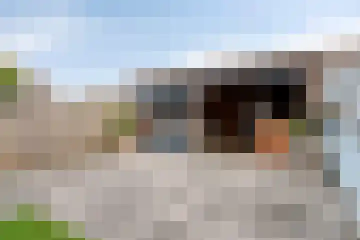 Juliana van Stolbergstraat 69 Veen thumbnail 28