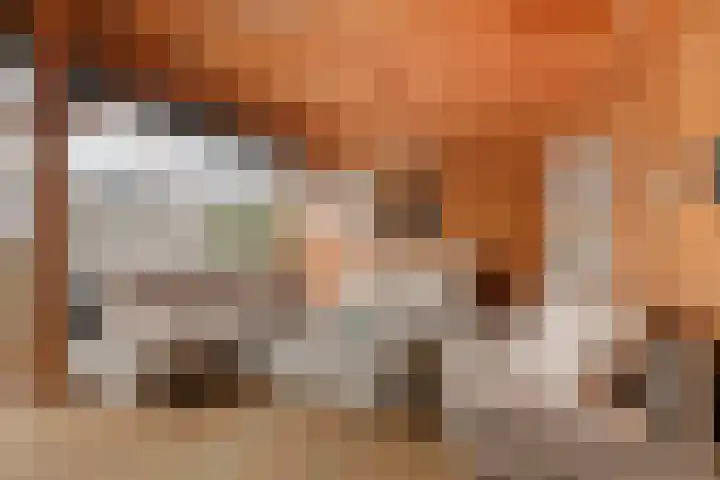 Juliana van Stolbergstraat 69 Veen thumbnail 29