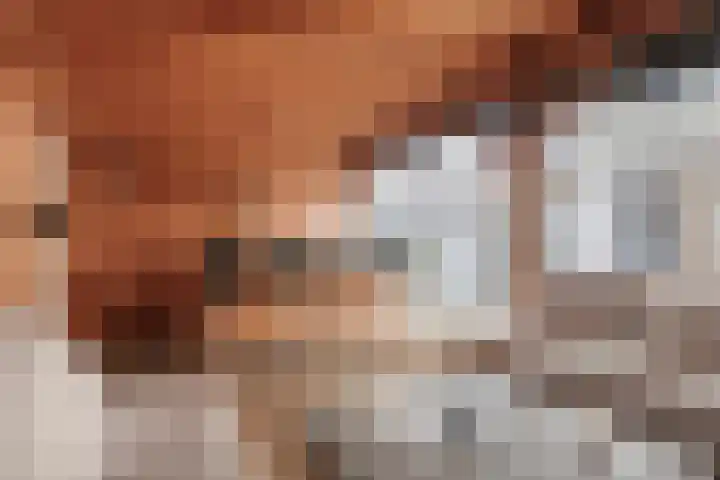Juliana van Stolbergstraat 69 Veen thumbnail 30