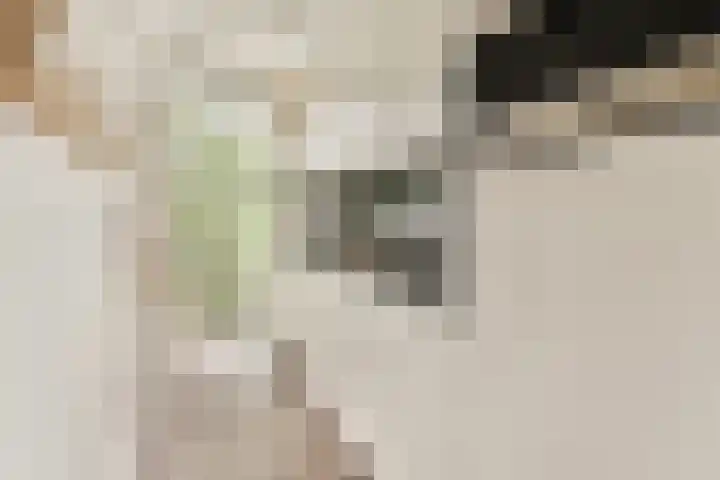Juliana van Stolbergstraat 8 2 Amsterdam thumbnail 6