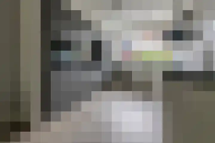 Julianahof 11 Zeist thumbnail 10