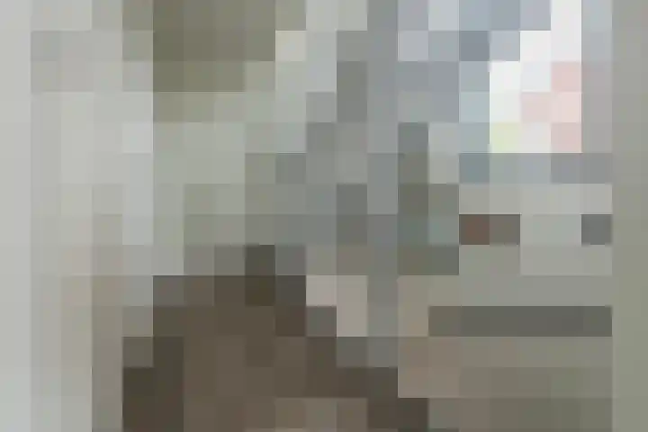 Julianahof 11 Zeist thumbnail 12
