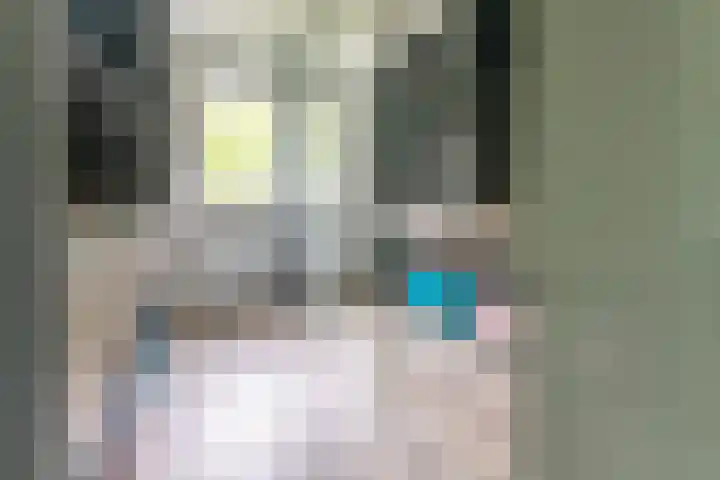 Julianahof 11 Zeist thumbnail 16