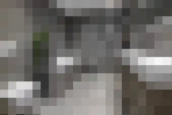 Julianahof 11 Zeist thumbnail 19