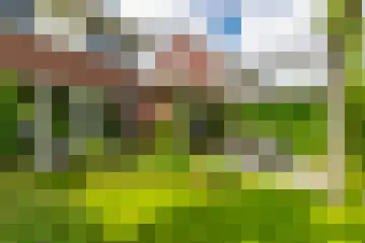 Julianahof 11 Zeist thumbnail 26
