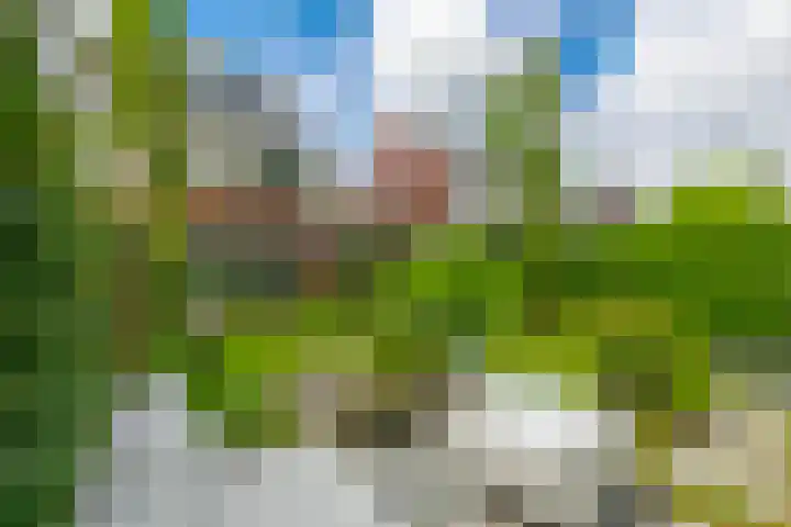Julianahof 11 Zeist thumbnail 27