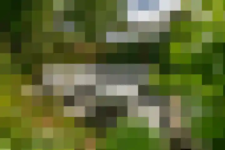 Julianahof 11 Zeist thumbnail 28