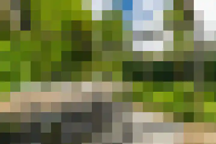 Julianahof 11 Zeist thumbnail 29