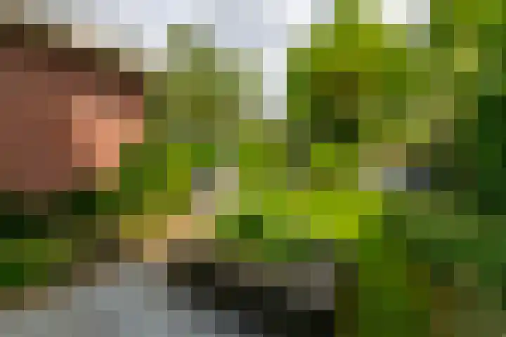 Julianahof 11 Zeist thumbnail 30