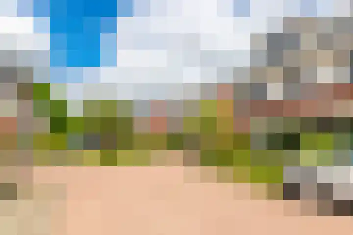 Julianahof 11 Zeist thumbnail 33