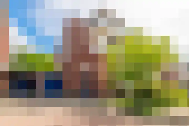 Julianahof 11 Zeist thumbnail 34