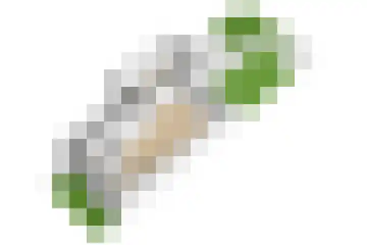 Julianahof 11 Zeist thumbnail 39