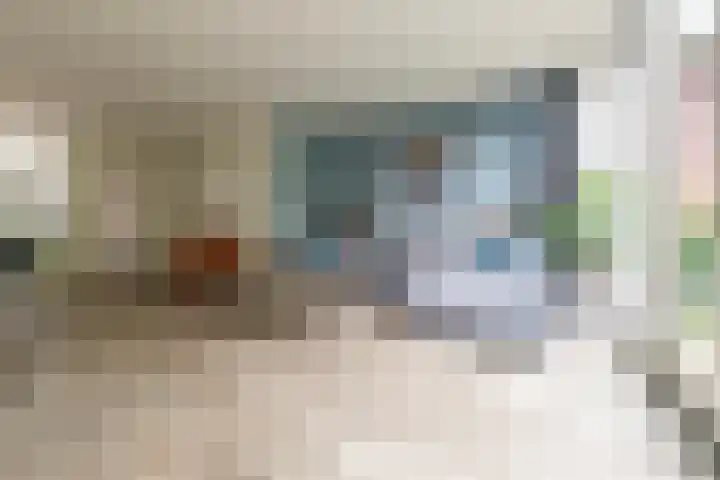 Julianahof 11 Zeist thumbnail 4