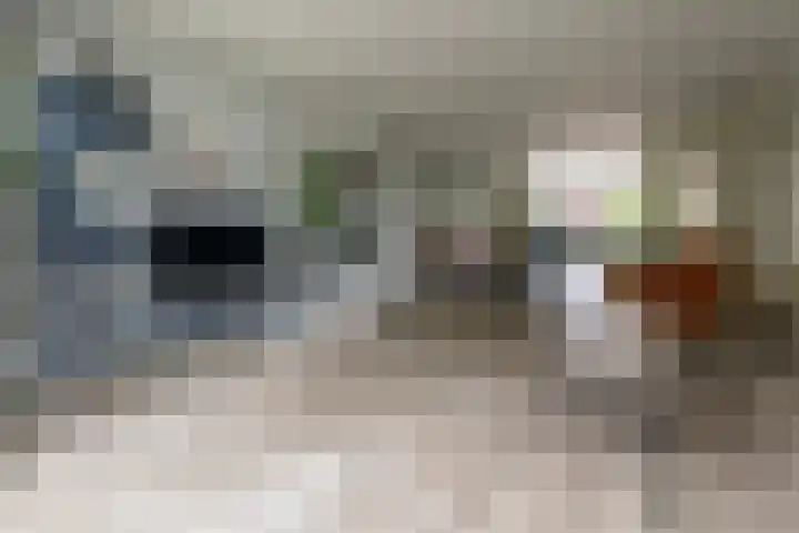 Julianahof 11 Zeist thumbnail 6