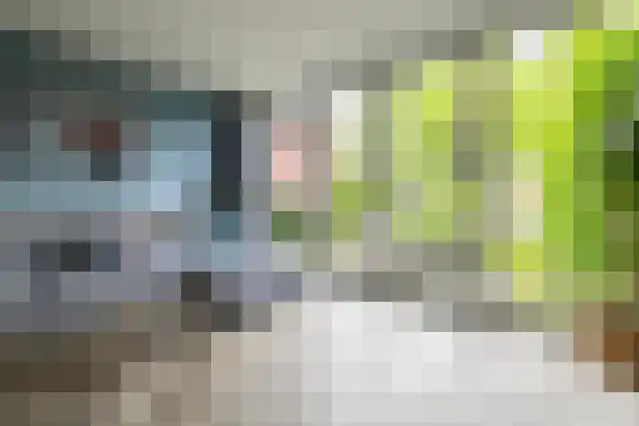 Julianahof 11 Zeist thumbnail 7