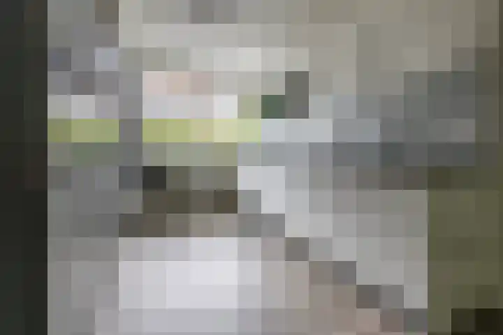 Julianahof 11 Zeist thumbnail 9