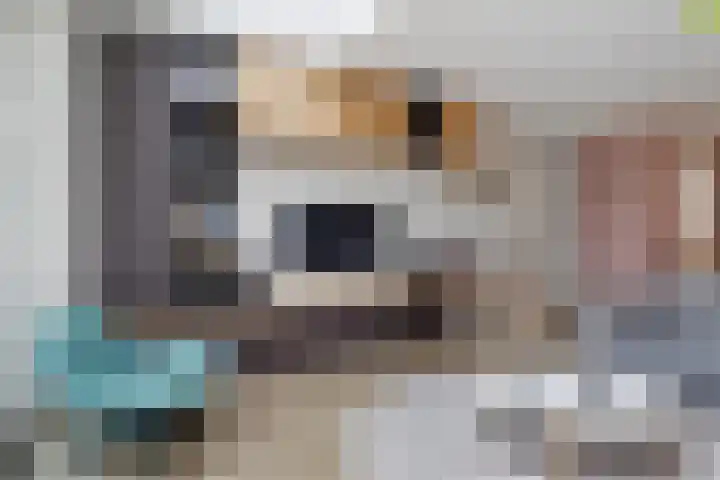 Julianahof 13 Zeist thumbnail 10