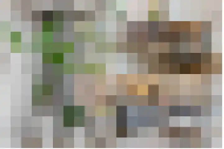 Julianahof 13 Zeist thumbnail 11