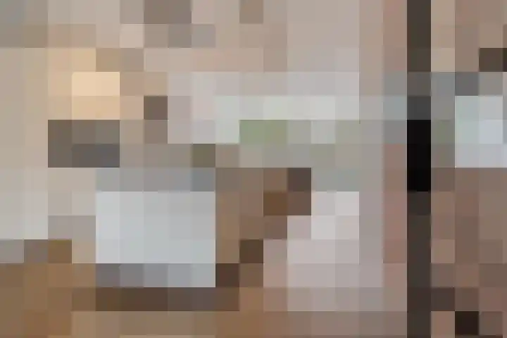 Julianahof 13 Zeist thumbnail 12