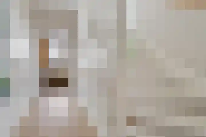 Julianahof 13 Zeist thumbnail 16