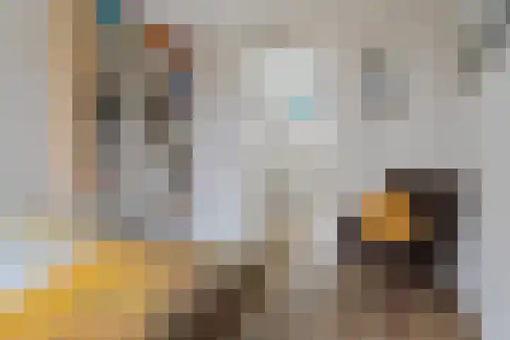 Julianahof 13 Zeist thumbnail 18
