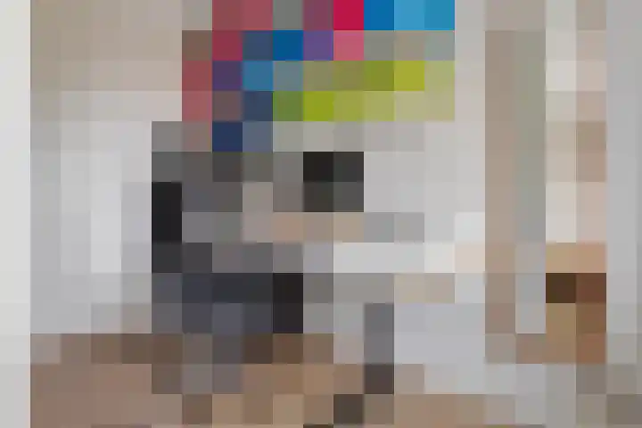 Julianahof 13 Zeist thumbnail 19