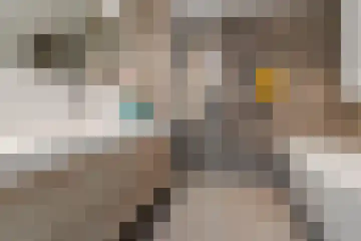 Julianahof 13 Zeist thumbnail 20