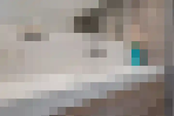Julianahof 13 Zeist thumbnail 21