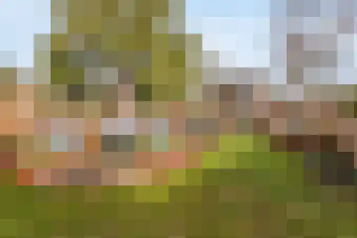 Julianahof 13 Zeist thumbnail 30