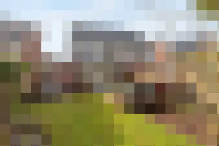 Julianahof 13 Zeist thumbnail 31