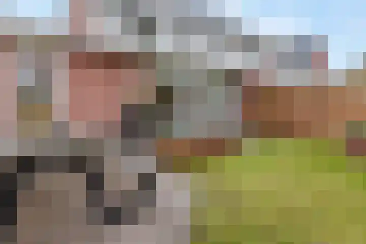 Julianahof 13 Zeist thumbnail 32