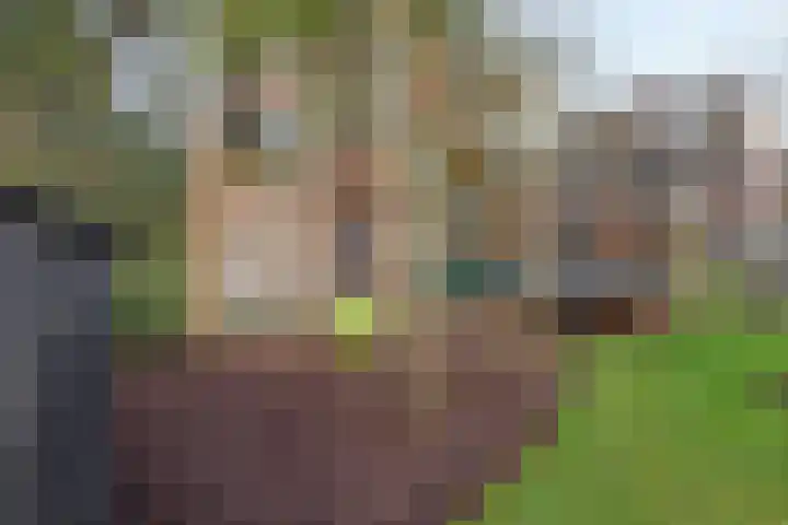 Julianahof 13 Zeist thumbnail 33